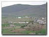 Hamurcuda satlık bag ve tarlalar