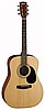 Akustik gitar