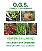 Bahçenize Çim Ekerken Sağlığınızı İhmal Etmeyin!