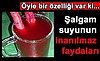 ŞALGAM LİTRESİ : 3-TL