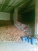 Patates