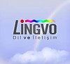 Lingvo Dil ve İletişim