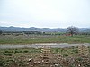 İZMİR DİKİLİDE SATILIK KOOPARATİF ARAZİSİ
