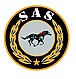 Sas Uluslararası Özel Güvenlik Koruma ve Eğitim Ltd. Şti.