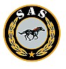 Sas Uluslararası Özel Güvenlik Koruma ve  Eğitim Ltd. Şti.