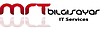 Teknik Servis Hizmeti / IT Manager