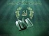 ALLAH KELAMI ÖĞRENİYORUM