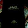 MİLLİ EĞİTİM BAKANLIĞI İSLAM ANSİKLOPEDİSİ 13 CİLT
