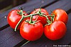 Domates/Tomato