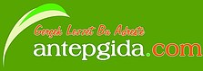 ANTEP BİLİŞİM VE İLETİŞİM TEKNOLOJİLERİ GIDA İNŞ.DANIŞ.HİZ.SAN.VE TİC.LTD.ŞTİ
