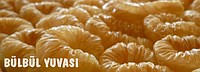 BÜLBÜL YUVASI