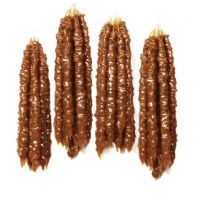 YAYLA SUCUĞU