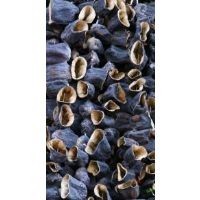 KURUTMALIK PATLICAN