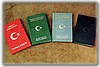 KOLAY VİZE