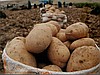 Potatos/patates