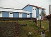 BÜYÜKBAŞ HAYVANLARI İLE BİRLİKTE SATILIK ÇİFTLİK