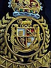 Royal Blazer Arma