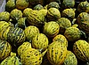 KAVUN/ MELON