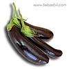 Patlican / Aubergine