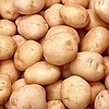 PATATES