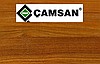 Çamsan