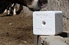 PURE SALT BLOCK (Royal Yalama Tuzu)