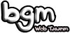 Web tasarım