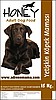ADRESE MAMA HONEY YETİŞKİN KÖPEK MAMASI 15 KG