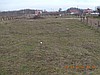SAKARYA'KARASU'SATILIK ARSA 718 m2