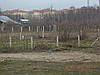 SAKARYA KARASUDA SATILIK 500m2 ARSA
