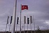 Benzinlik Bayrakları