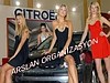 Fuar organizasyonu