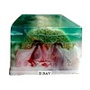 GLİSERİNLİ BANYO SABUNU