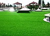 ÇOK UCUZ SUNİ ÇİM HALI ANKARA İSTANBUL İZMİR ANTALYA KIBRIS