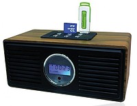 SKYTECH Radyolu Müzik Kutusu ST-112
