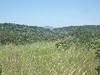 Yenifoça gencellide satılık tarla