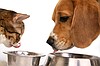 KEDİ VE KÖPEK MAMALARI