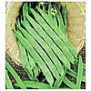Fasulye Tohumu (Alman Ayşe — Ece) — 500 gr