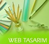 Web Tasarım