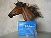 Tildren (Tiludronic Asit)