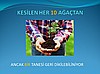 İzmir Kayseri manisa bursa plastik palet plastik palet fiyatları manisa plastik palet 02164829434