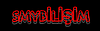 SMYBİLİŞİM