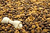 Açık Köpek Maması 1 kg