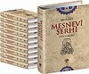 Mesnevi Şerhi Tahirül Mevlevi