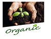 Organik Ürünler İnternet Mağazası