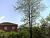 Organik  elma sirkesi sa ğlik vede sifai  ürün