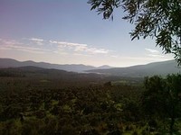Kazıklıda Satılık 8850 m2 Arsa