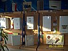 Kombi dogalgaz su tesisatı kalorifer mutfak banyo tadilatı
