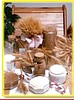 EKMEK VE ÇEŞİTLERİ