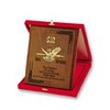 Kutulu plaket